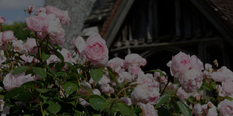 Eco Church*Find out what we're doing, and how we achieved our Silver Award