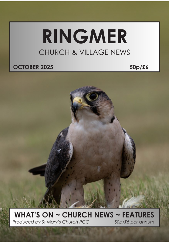 Screenshot from 2025-10-13 13-